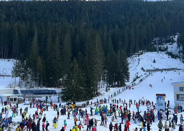 Apartment Midnightblue